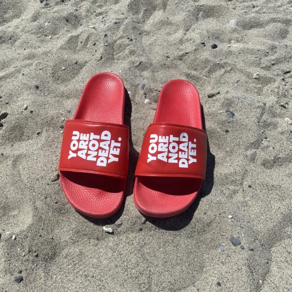 Slides